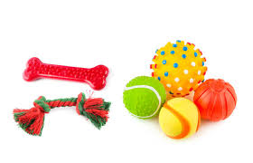 Red Bone & Rope Toy