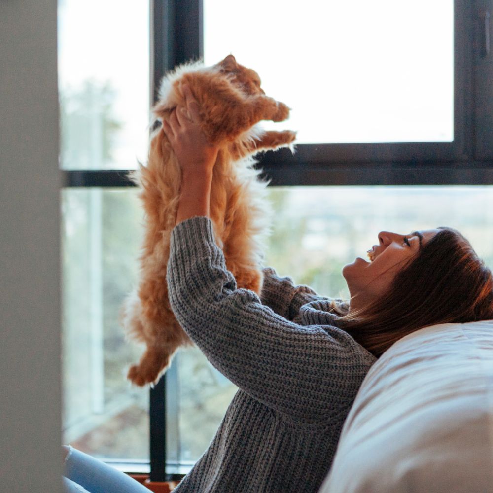 Happy owner playing with cat, enjoying quality time together