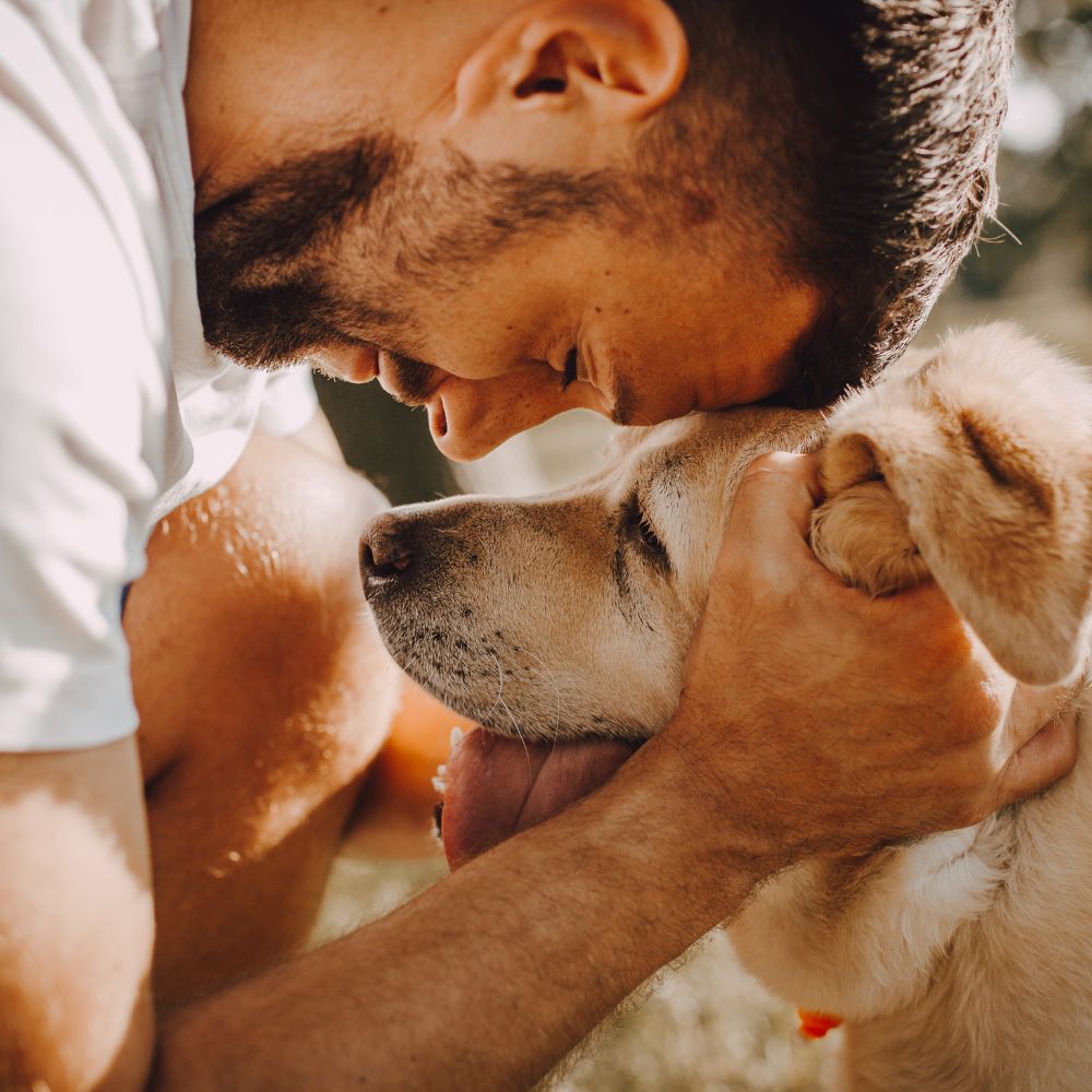 Happy owner playing with their dog, enjoying quality time together