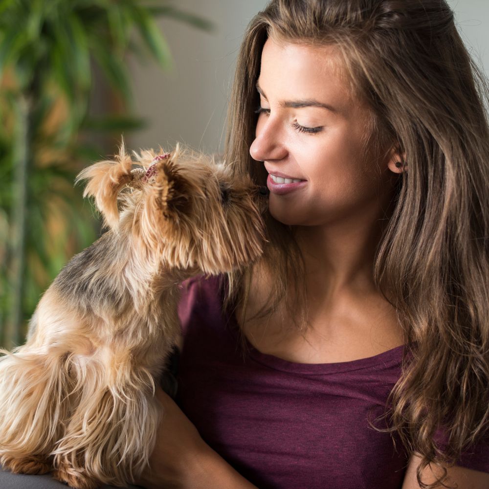 Happy owner playing with their dog, enjoying quality time together