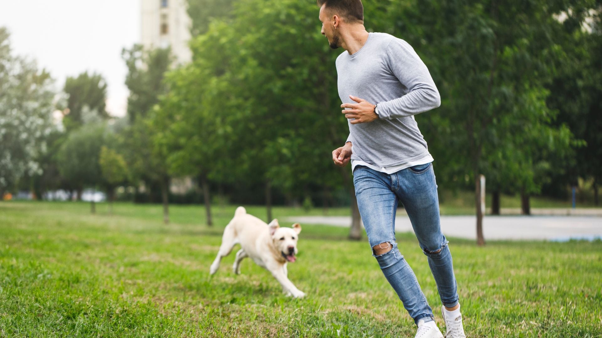 Happy owner playing with their dog, enjoying quality time together