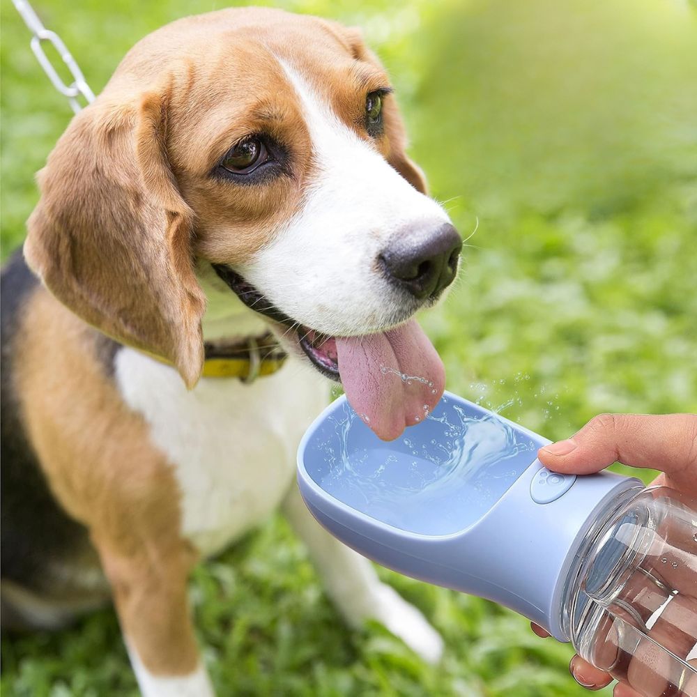 Dog drinking water from the BarkNest Portable Water Bottle