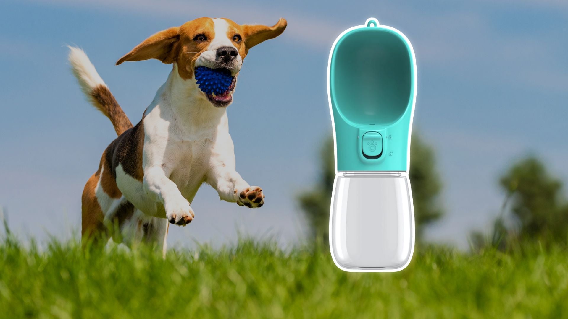 Running dog with BarkNest Portable Water Bottle featured beside